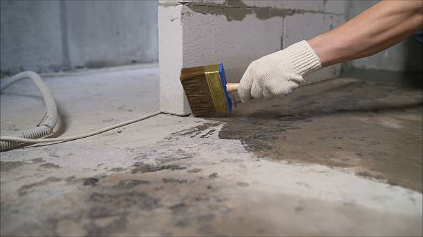 24/7 Emergency Wet Basement Repair experts in Fruitport, MI
